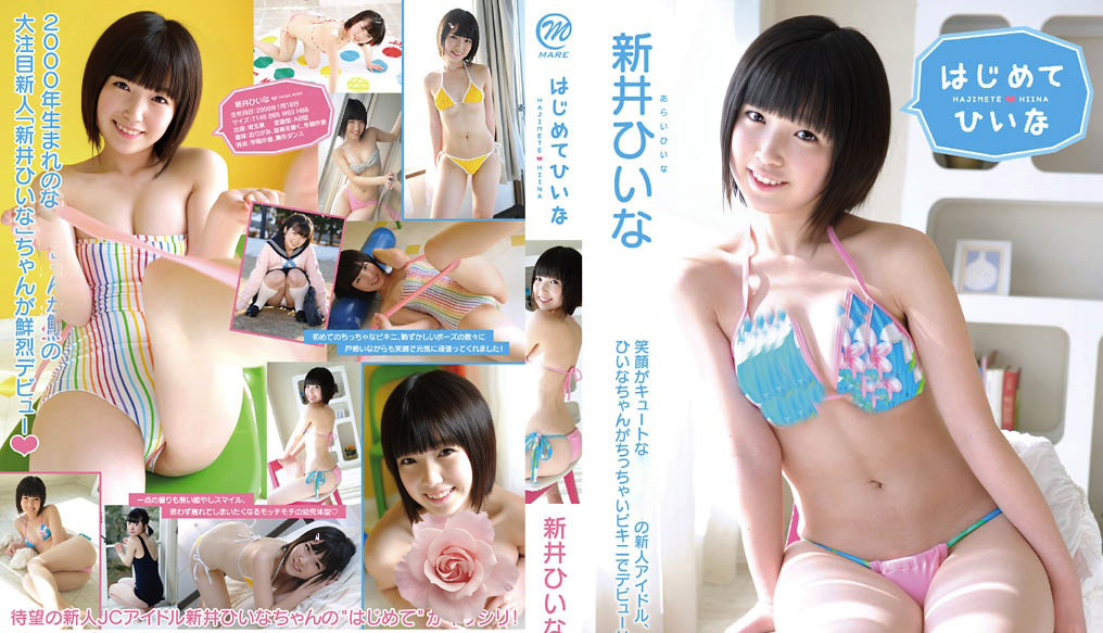 MMR-247 Arai Hiina